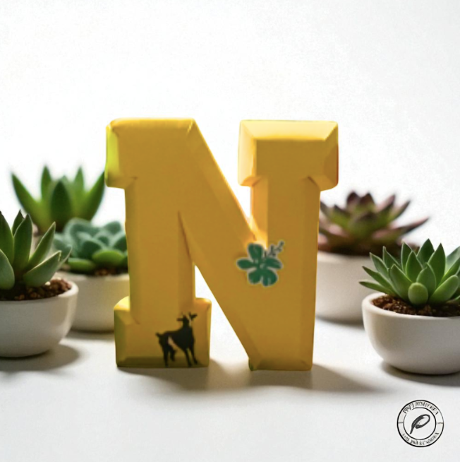 Lettre 3D